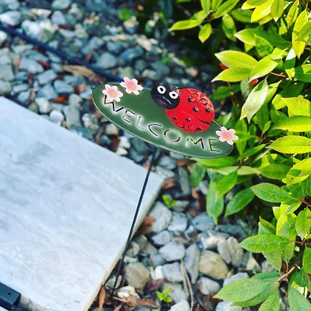 O Rendez Vous Maison Mitoyenne Piscine Chauffee Mars-octobre Apartmán Grimisuat